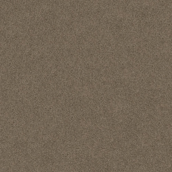 SERENDIPITY I - Simply Taupe 00572