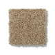 ORIGINS - Mushroom 00703 ORIGINS - Mushroom 00703
