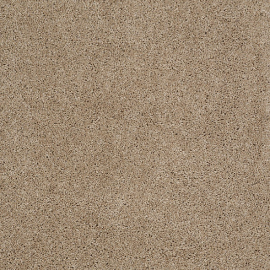 ORIGINS - Mushroom 00703 ORIGINS - Mushroom 00703
