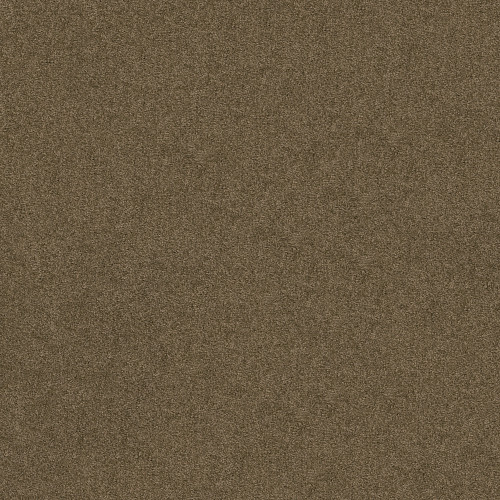 SERENDIPITY I - Vicuna 00736