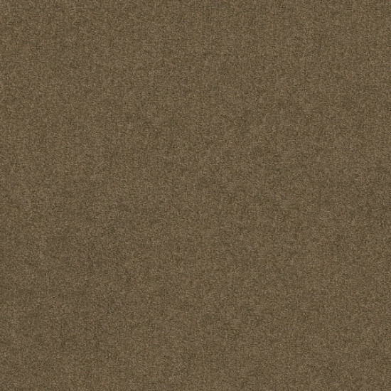 SERENDIPITY I - Vicuna 00736