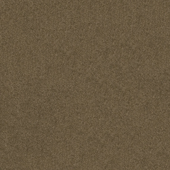 SERENDIPITY I - Vicuna 00736