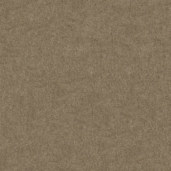 SERENDIPITY I - Sable 00754