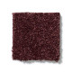 ORIGINS - Berry 00810 ORIGINS - Berry 00810