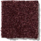 ORIGINS - Berry 00810 ORIGINS - Berry 00810
