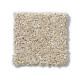 PICTURESQUE - Dunes 00102 PICTURESQUE - Dunes 00102