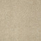 PICTURESQUE - Field Stone 00105