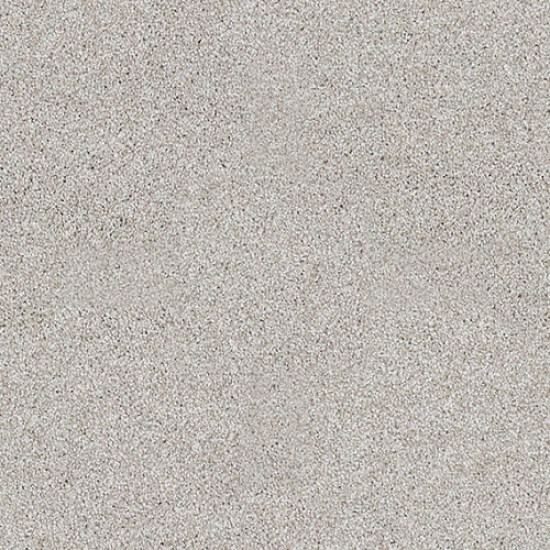 ALWAYS READY I - Studio Taupe 00194