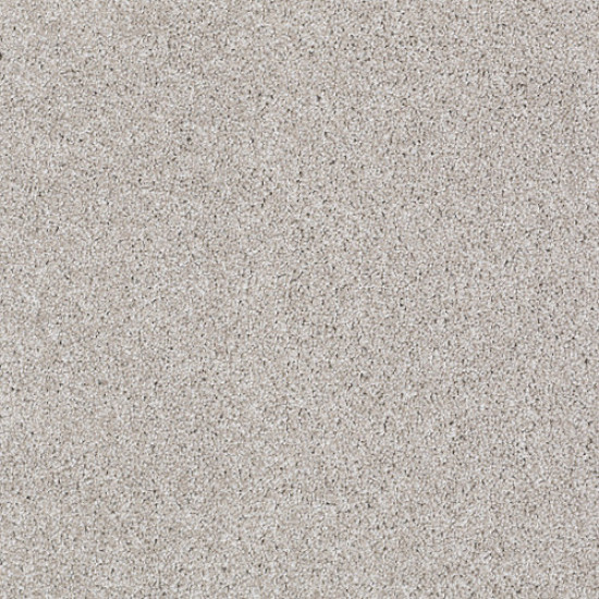 ALWAYS READY I - Studio Taupe 00194