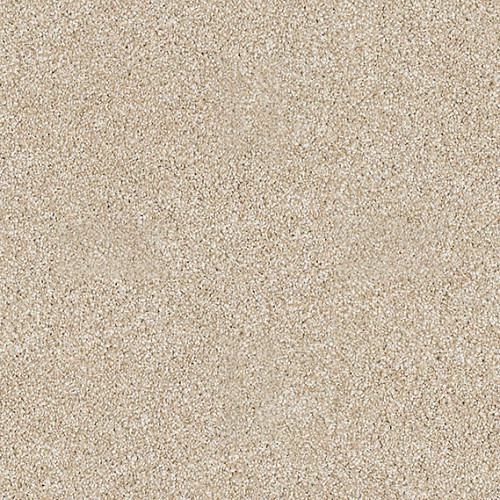 ALWAYS READY I - Gold Rush 00290