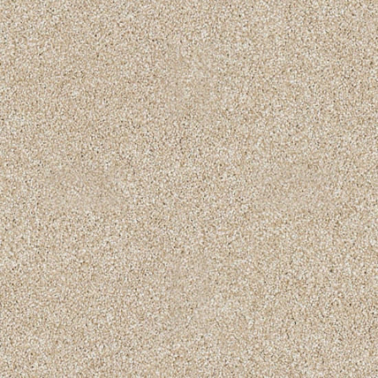 ALWAYS READY I - Gold Rush 00290