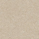 ALWAYS READY I - Gold Rush 00290