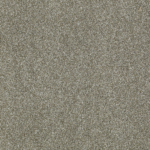 PICTURESQUE - Silver Sage 00310