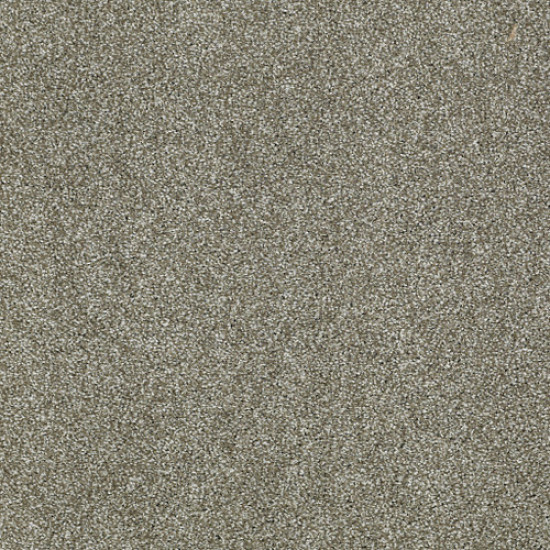 PICTURESQUE - Silver Sage 00310 PICTURESQUE - Silver Sage 00310
