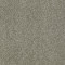 PICTURESQUE - Silver Sage 00310