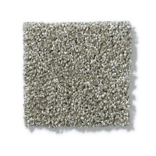 PICTURESQUE - Silver Sage 00310