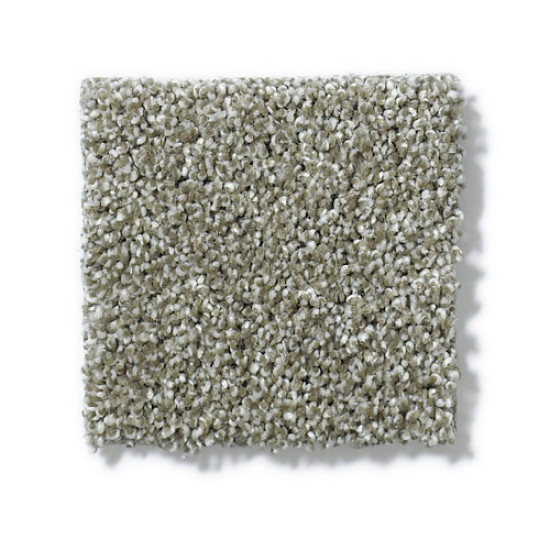 PICTURESQUE - Silver Sage 00310 PICTURESQUE - Silver Sage 00310