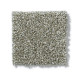 PICTURESQUE - Silver Sage 00310 PICTURESQUE - Silver Sage 00310