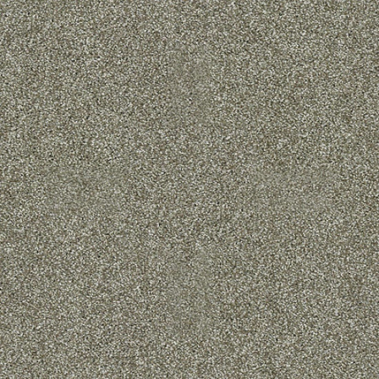 PICTURESQUE - Silver Sage 00310 PICTURESQUE - Silver Sage 00310