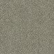 PICTURESQUE - Silver Sage 00310 PICTURESQUE - Silver Sage 00310