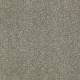 PICTURESQUE - Silver Sage 00310 PICTURESQUE - Silver Sage 00310