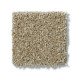 PICTURESQUE - Natural Wood 00701 PICTURESQUE - Natural Wood 00701