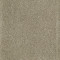 PICTURESQUE - Mushroom 00703