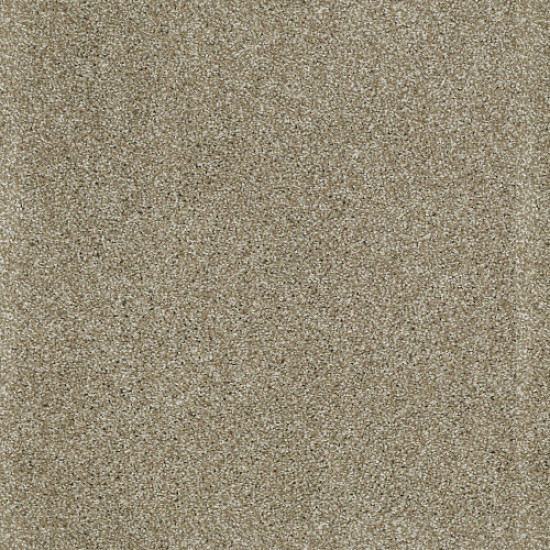 PICTURESQUE - Mushroom 00703 PICTURESQUE - Mushroom 00703