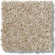 PICTURESQUE - Mushroom 00703 PICTURESQUE - Mushroom 00703