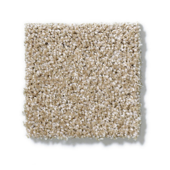 PICTURESQUE - Mushroom 00703 PICTURESQUE - Mushroom 00703