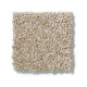 PICTURESQUE - Mushroom 00703 PICTURESQUE - Mushroom 00703