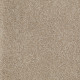 PICTURESQUE - Mushroom 00703 PICTURESQUE - Mushroom 00703