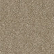 PICTURESQUE - Prairie 00710 PICTURESQUE - Prairie 00710
