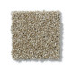 PICTURESQUE - Prairie 00710 PICTURESQUE - Prairie 00710