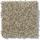 PICTURESQUE - Prairie 00710 PICTURESQUE - Prairie 00710