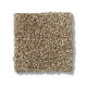 PICTURESQUE - Travertine 00711 PICTURESQUE - Travertine 00711
