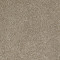 ALWAYS READY I - Warmth 00799