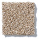 ALWAYS READY I - Warmth 00799 ALWAYS READY I - Warmth 00799