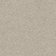 ALWAYS READY I - Biscotti 00791 ALWAYS READY I - Biscotti 00791