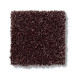 PICTURESQUE - Berry 00810 PICTURESQUE - Berry 00810