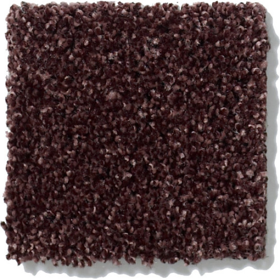 PICTURESQUE - Berry 00810 PICTURESQUE - Berry 00810
