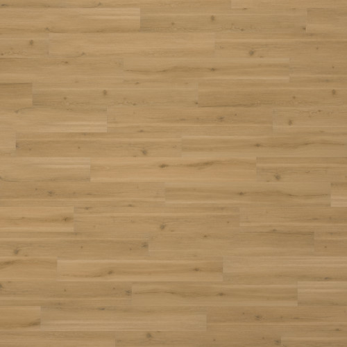 Swiss Oak - Nougat