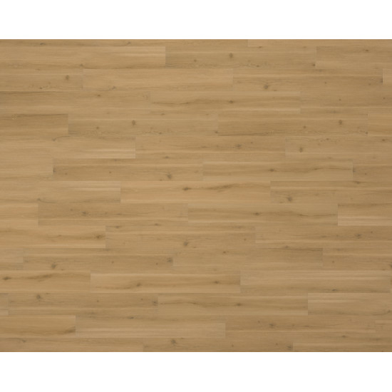 Swiss Oak - Nougat Swiss Oak - Nougat