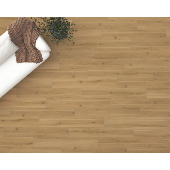 Swiss Oak - Nougat Swiss Oak - Nougat