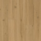 Swiss Oak - Nougat Swiss Oak - Nougat