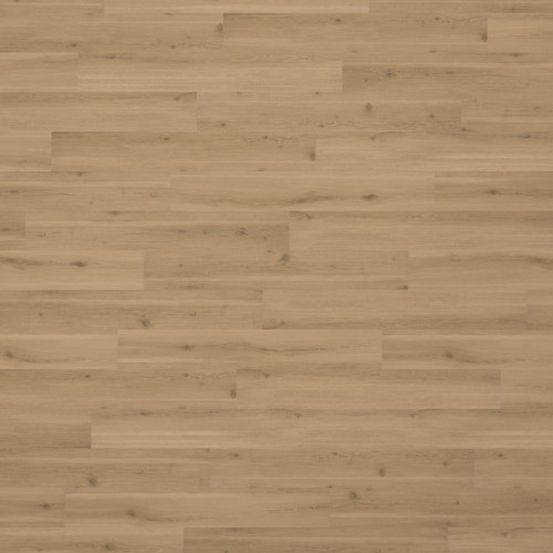 Swiss Oak - Truffle