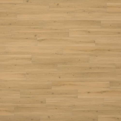 Swiss Oak - Praline