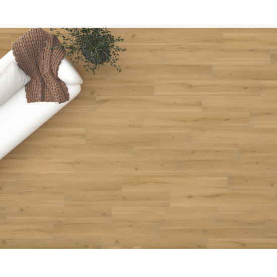 Swiss Oak - Praline