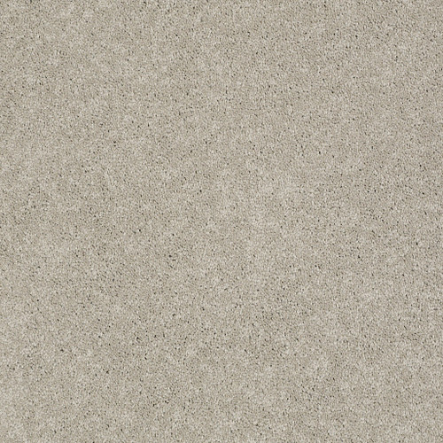 PAWPARAZZI I - Mocha Cream 00711