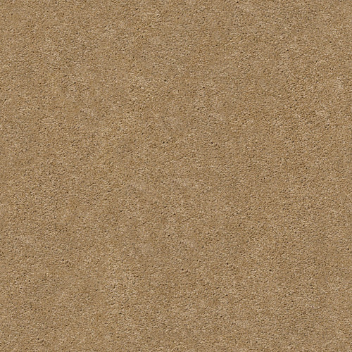 PAWPARAZZI I - Golden Straw 00224